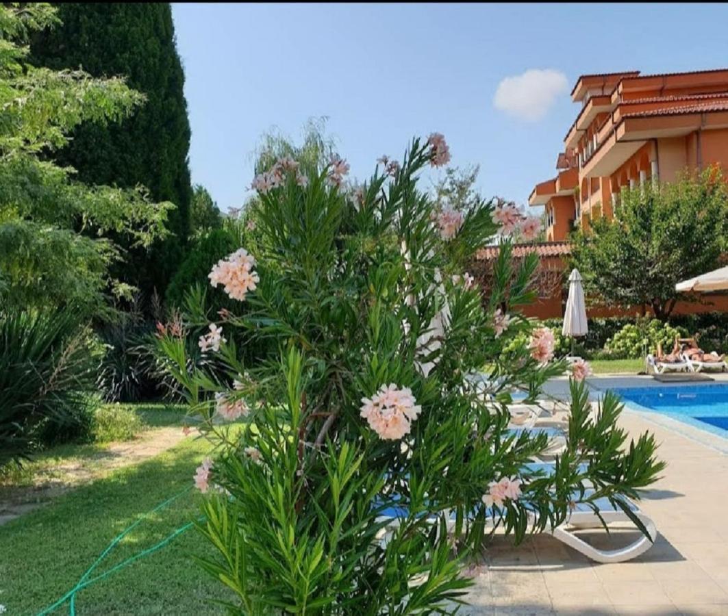 סאני ביץ' Family Hotel Magnolia מראה חיצוני תמונה