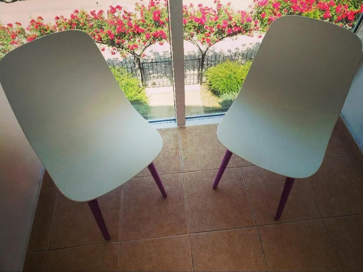 סאני ביץ' Family Hotel Magnolia מראה חיצוני תמונה