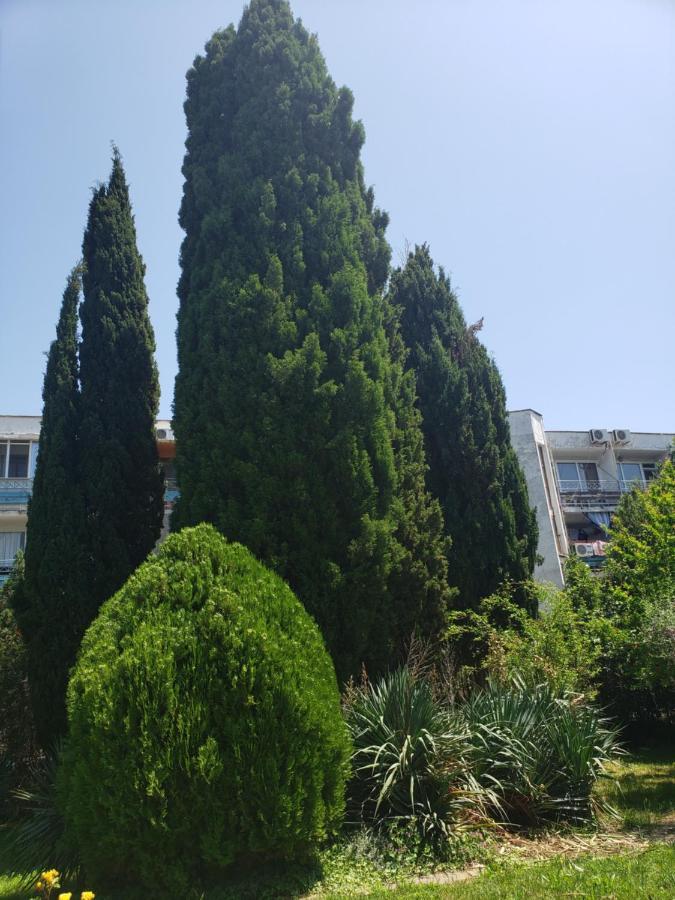 סאני ביץ' Family Hotel Magnolia מראה חיצוני תמונה