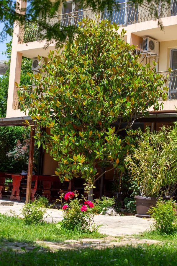 סאני ביץ' Family Hotel Magnolia מראה חיצוני תמונה