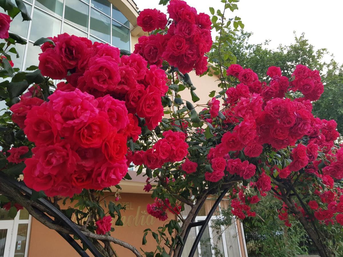 סאני ביץ' Family Hotel Magnolia מראה חיצוני תמונה