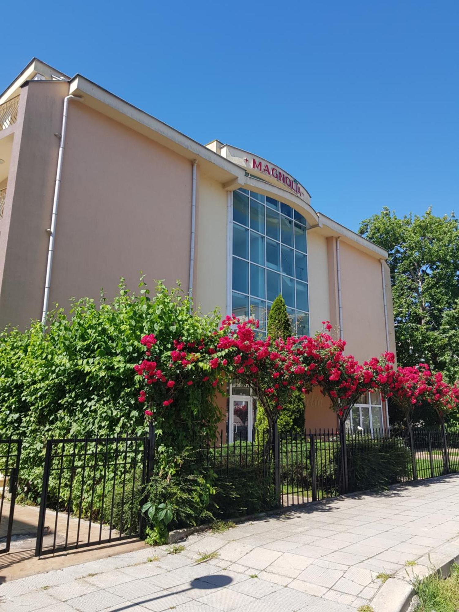 סאני ביץ' Family Hotel Magnolia מראה חיצוני תמונה