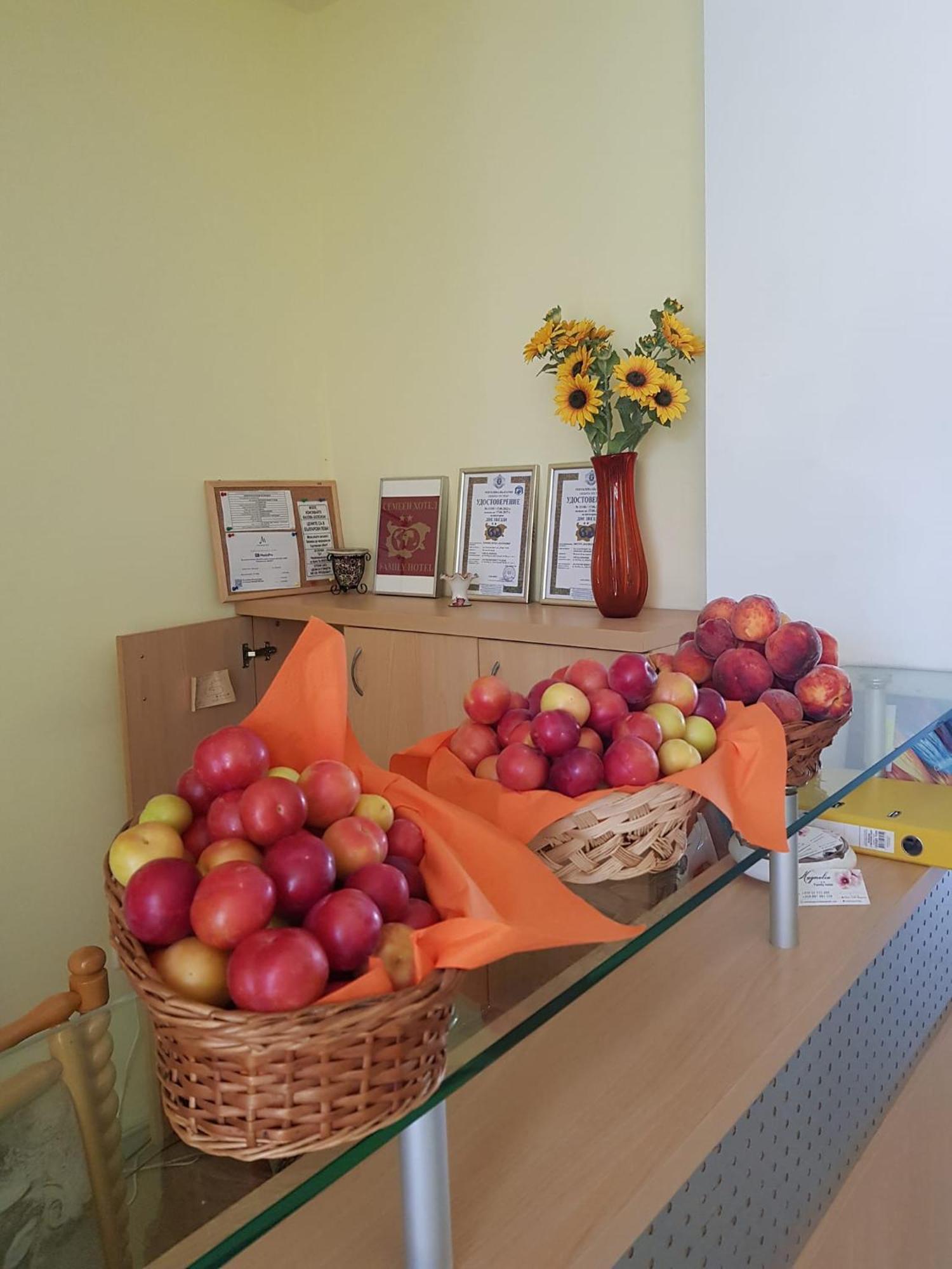 סאני ביץ' Family Hotel Magnolia מראה חיצוני תמונה